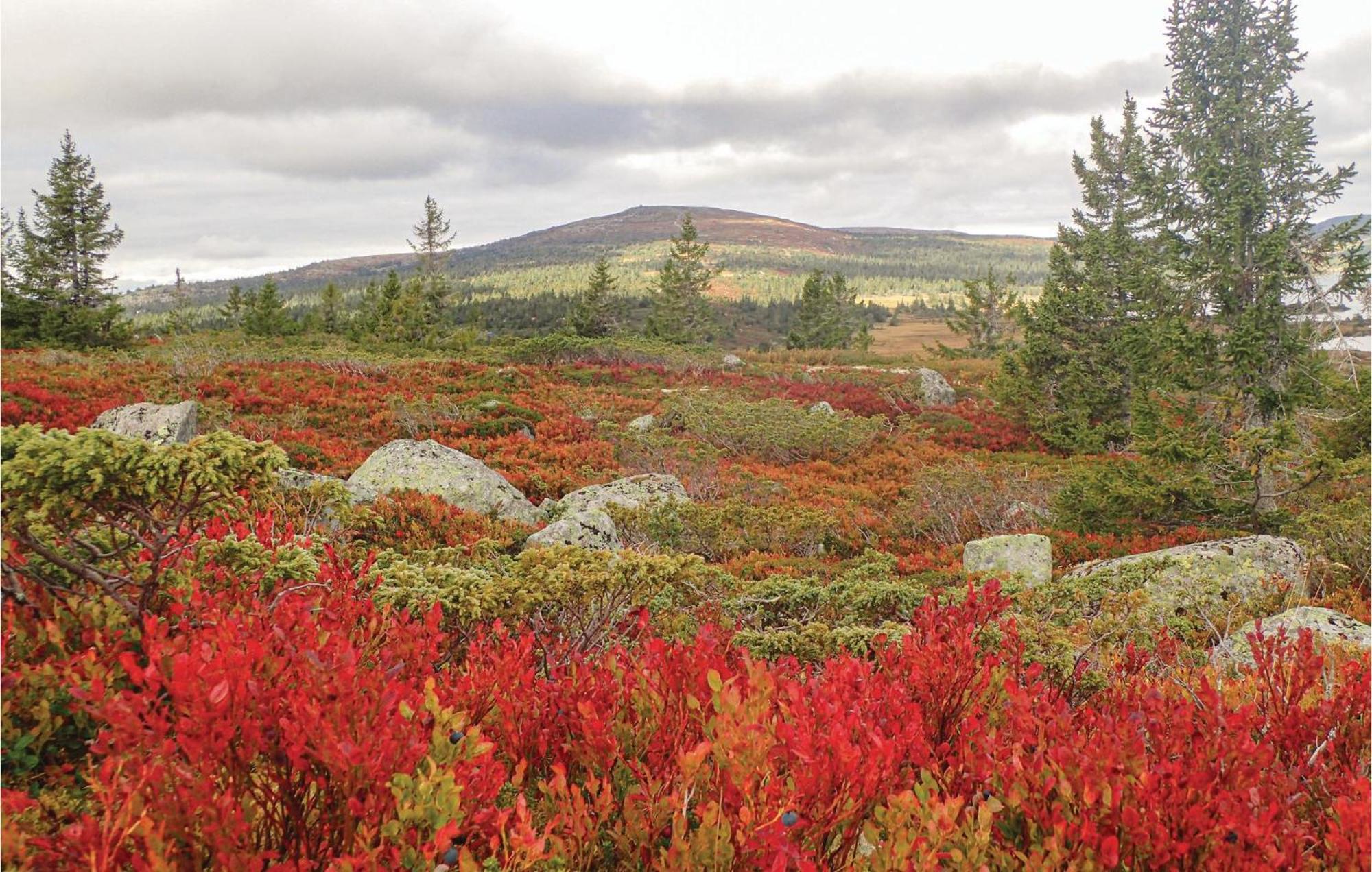 Cozy Home In Sjusjoen With Wifi Luaran gambar